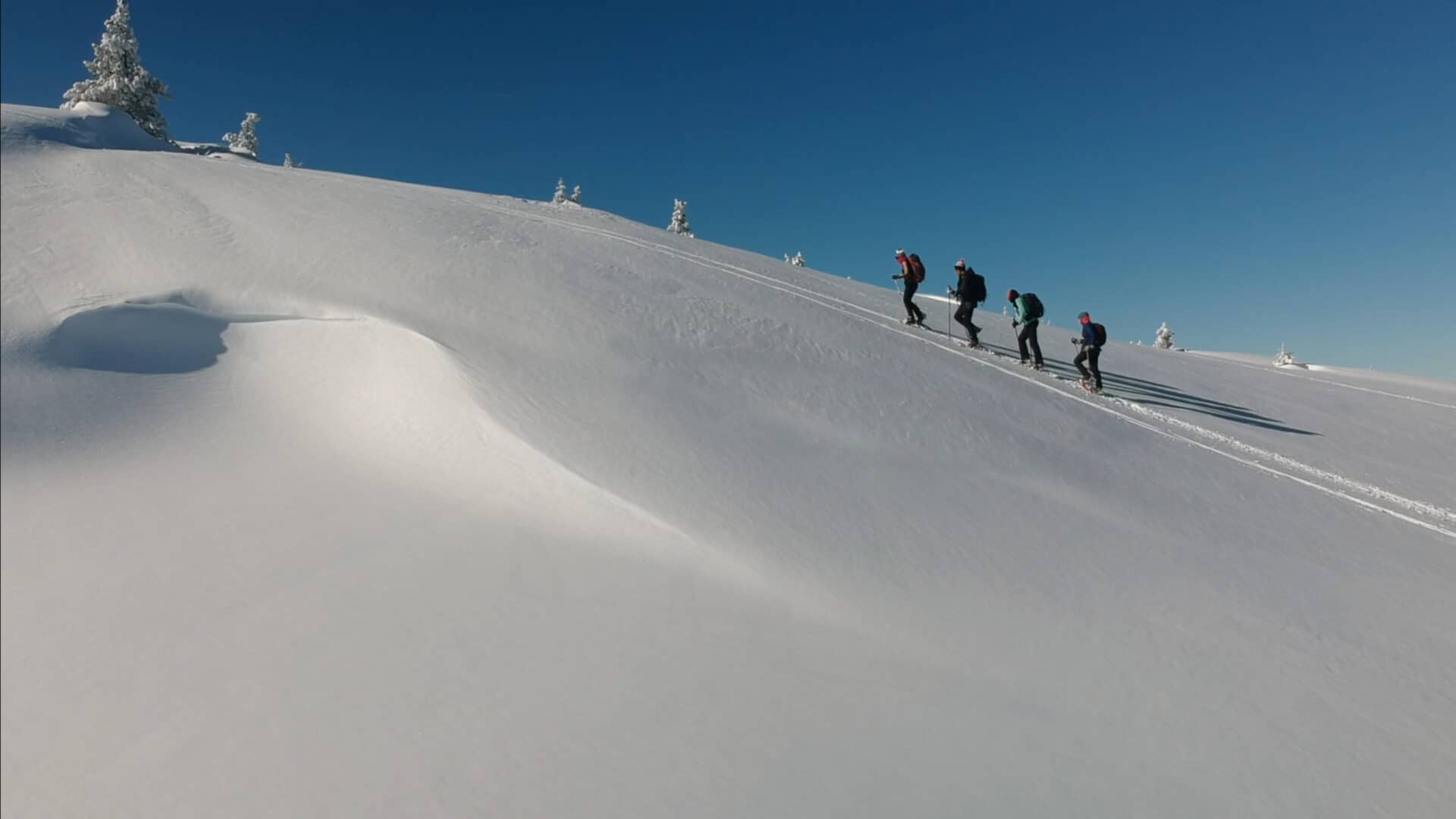 Accompagnement en raquettes à neige au col de Pailhères. Ariège Pyrénées.